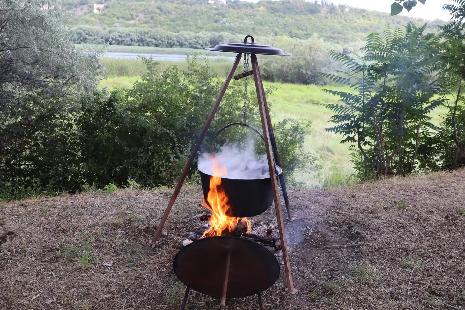 Festival foto 29